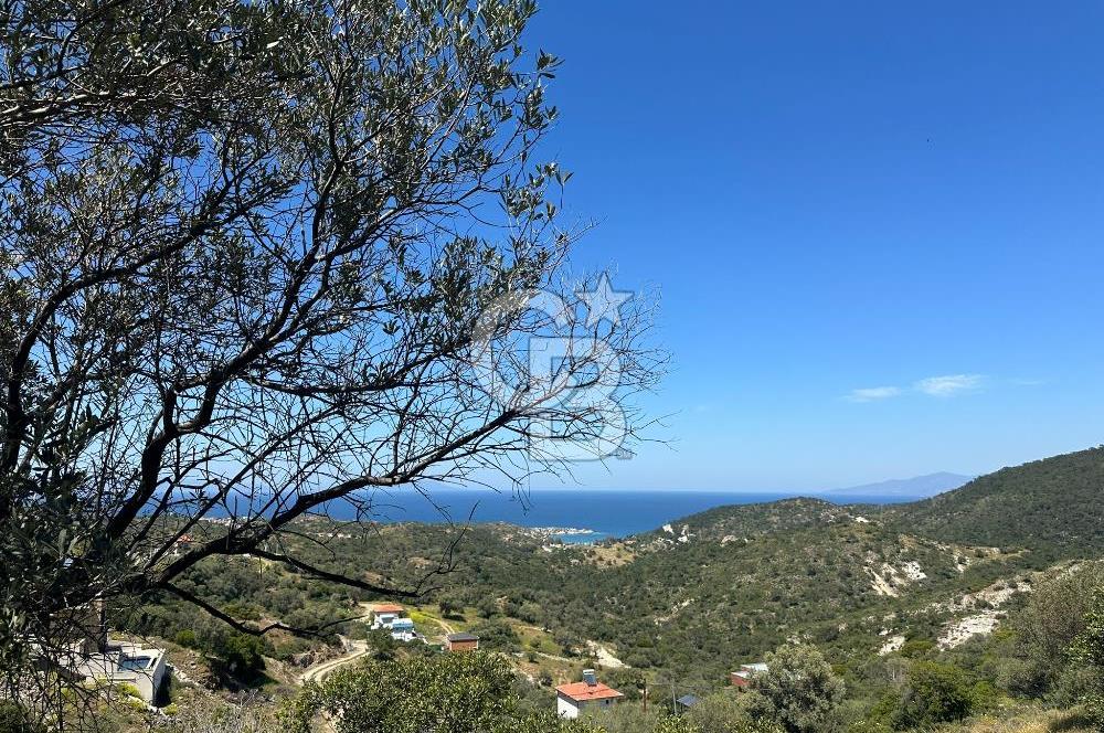 Foça Sazlıca Mevkiinde Satılık Deniz Manzaralı 228 m2 Arsa
