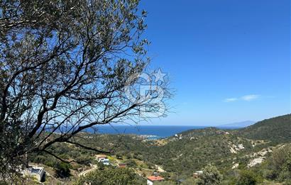 Foça Sazlıca Mevkiinde Satılık Deniz Manzaralı 228 m2 Arsa
