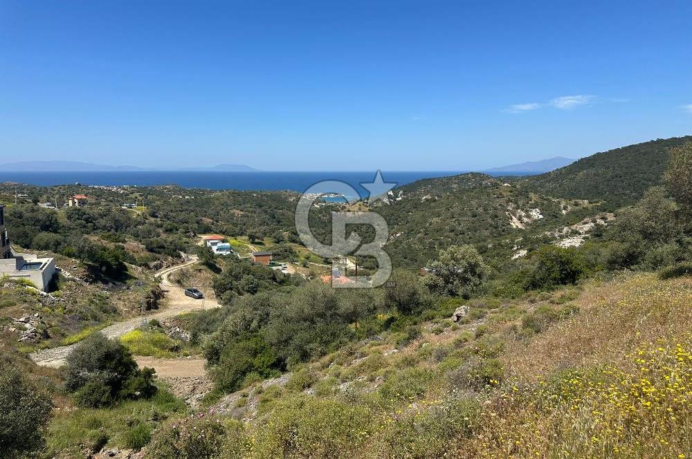 Foça Sazlıca Mevkiinde Satılık Deniz Manzaralı 228 m2 Arsa
