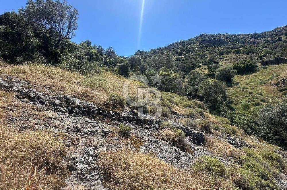 Foça Sazlıca Mevkiinde Satılık Deniz Manzaralı 228 m2 Arsa