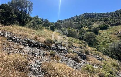 Foça Sazlıca Mevkiinde Satılık Deniz Manzaralı 228 m2 Arsa