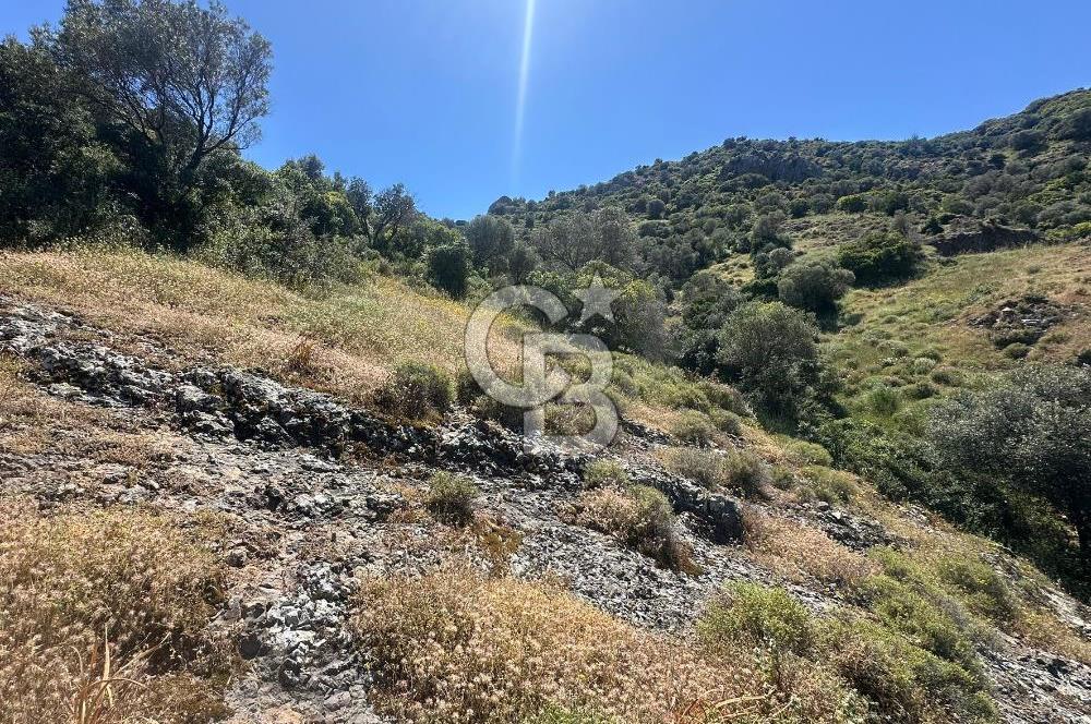 Foça Sazlıca Mevkiinde Satılık Deniz Manzaralı 228 m2 Arsa