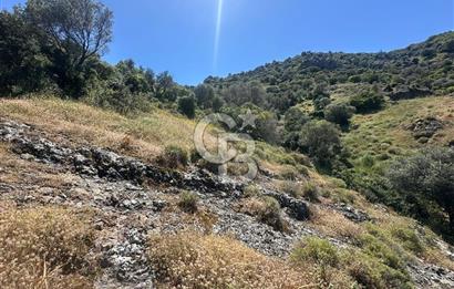 Foça Sazlıca Mevkiinde Satılık Deniz Manzaralı 228 m2 Arsa