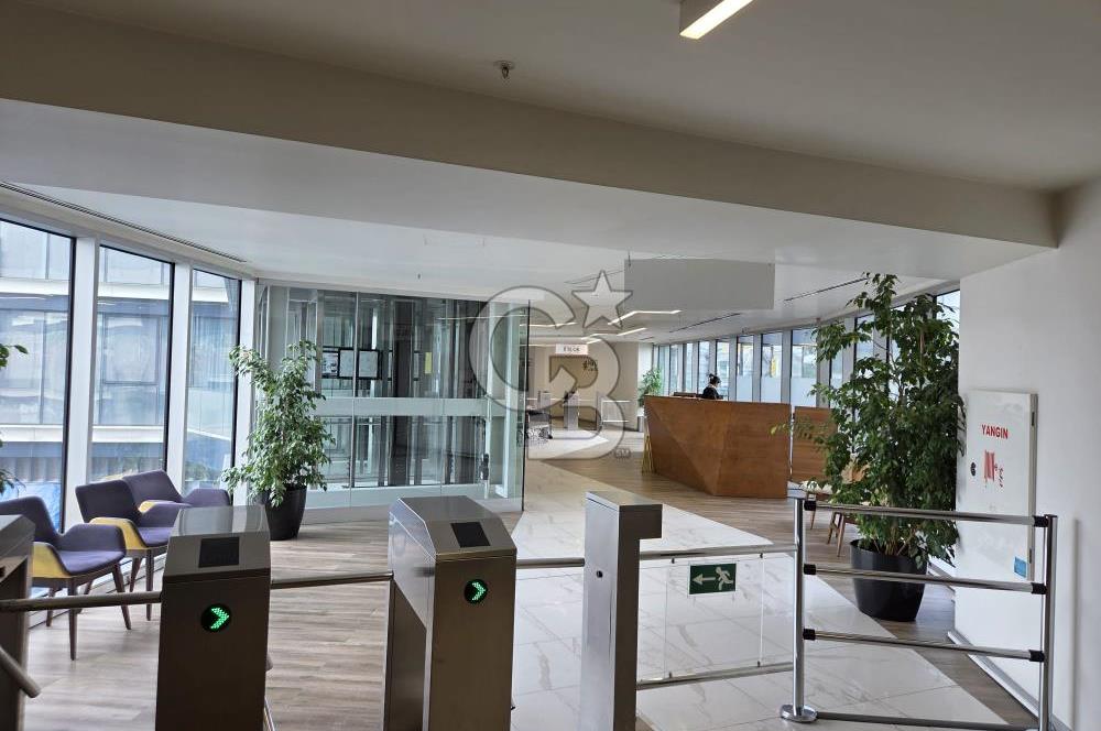 Nivo Ataköy Projesi E 5 Cepheli Büyük Tip 1+1 Kiralık Büro&Ofis