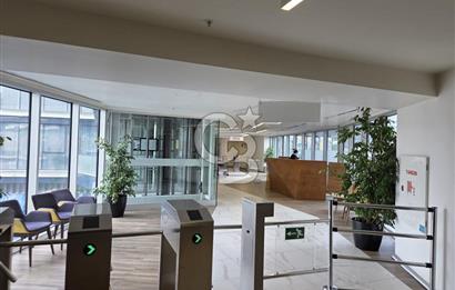 Nivo Ataköy Projesi E 5 Cepheli Büyük Tip 1+1 Kiralık Büro&Ofis