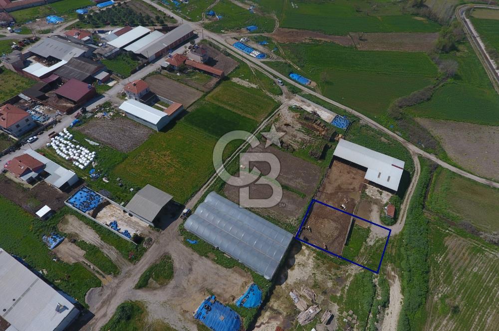 CB KİNG'DEN KEPSUT/MAHMUDİYE MAHALLESİ KONUT İMARLI SATILIK ARSA