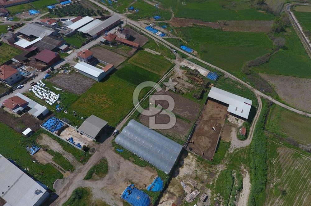 CB KİNG'DEN KEPSUT/MAHMUDİYE MAHALLESİ KONUT İMARLI SATILIK ARSA