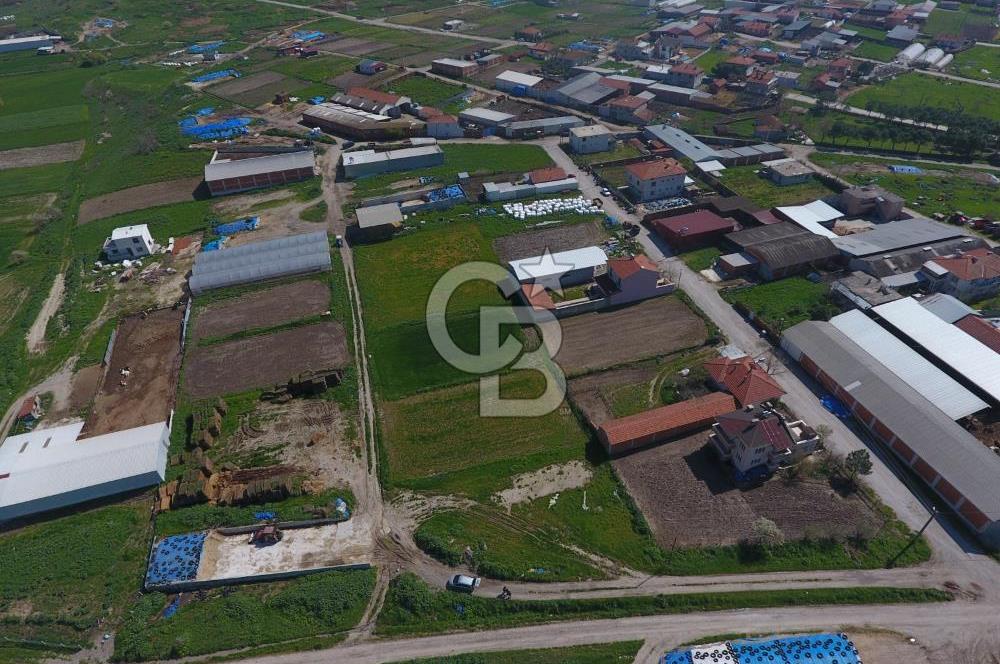CB KİNG'DEN KEPSUT/MAHMUDİYE MAHALLESİ KONUT İMARLI SATILIK ARSA