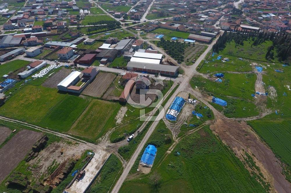 CB KİNG'DEN KEPSUT/MAHMUDİYE MAHALLESİ KONUT İMARLI SATILIK ARSA