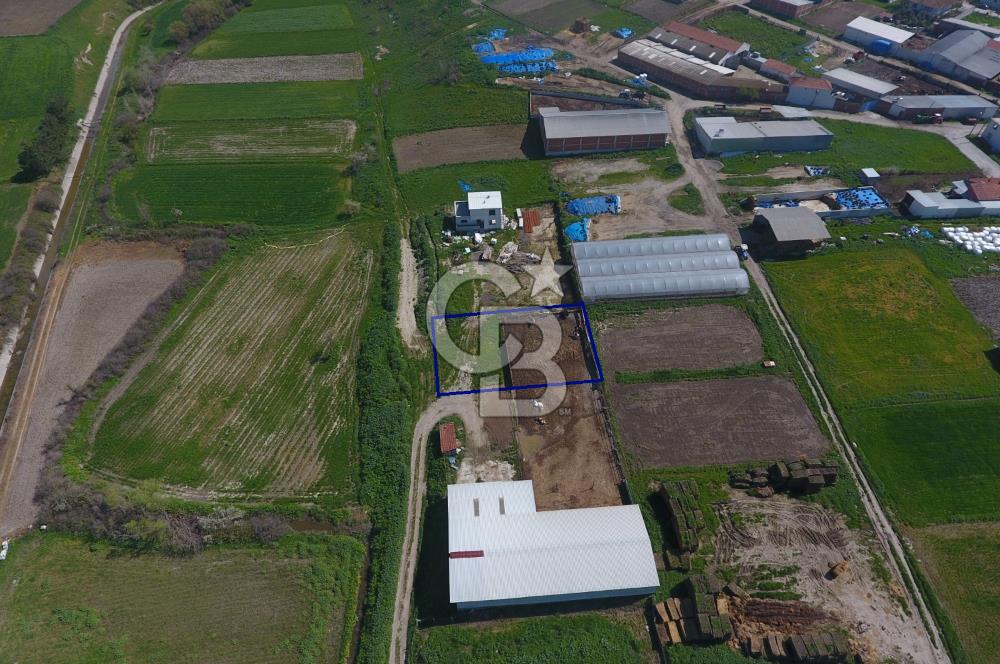 CB KİNG'DEN KEPSUT/MAHMUDİYE MAHALLESİ KONUT İMARLI SATILIK ARSA