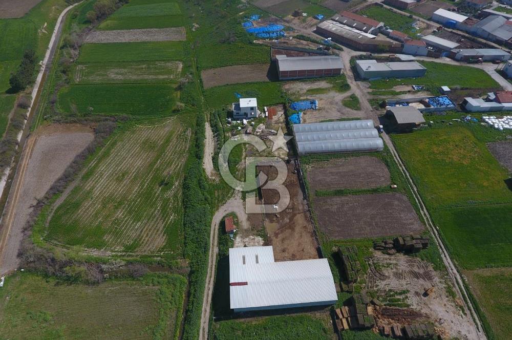 CB KİNG'DEN KEPSUT/MAHMUDİYE MAHALLESİ KONUT İMARLI SATILIK ARSA