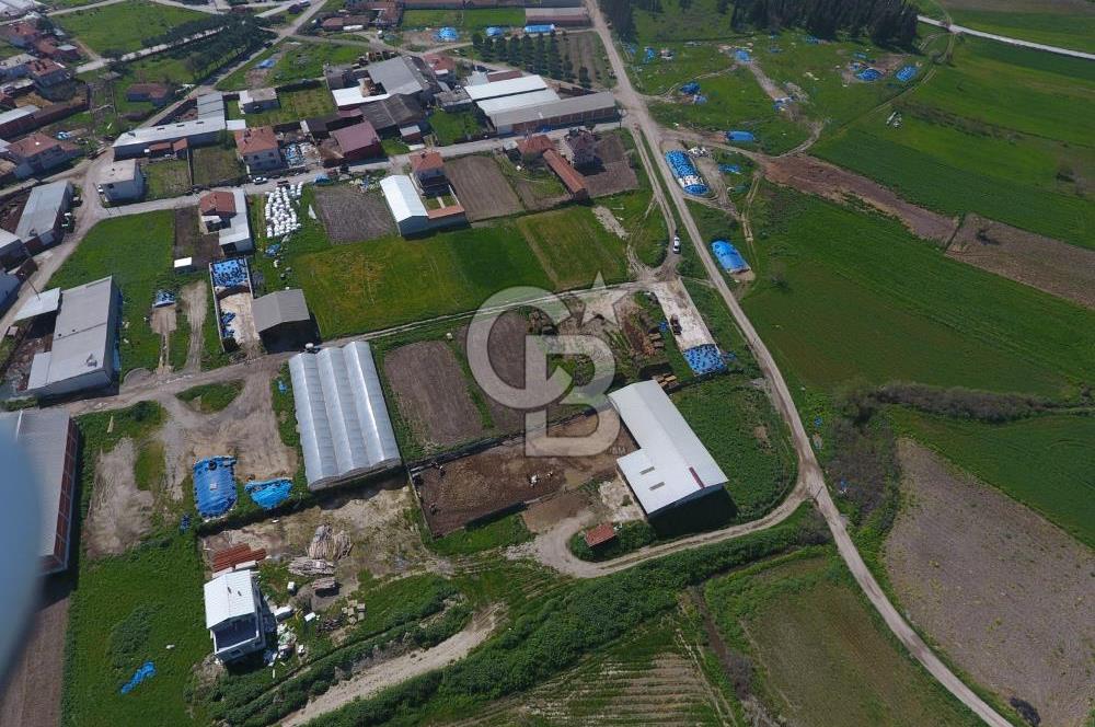 CB KİNG'DEN KEPSUT/MAHMUDİYE MAHALLESİ KONUT İMARLI SATILIK ARSA
