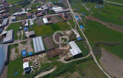 CB KİNG'DEN KEPSUT/MAHMUDİYE MAHALLESİ KONUT İMARLI SATILIK ARSA