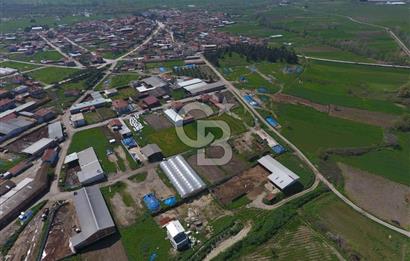 CB KİNG'DEN KEPSUT/MAHMUDİYE MAHALLESİ KONUT İMARLI SATILIK ARSA