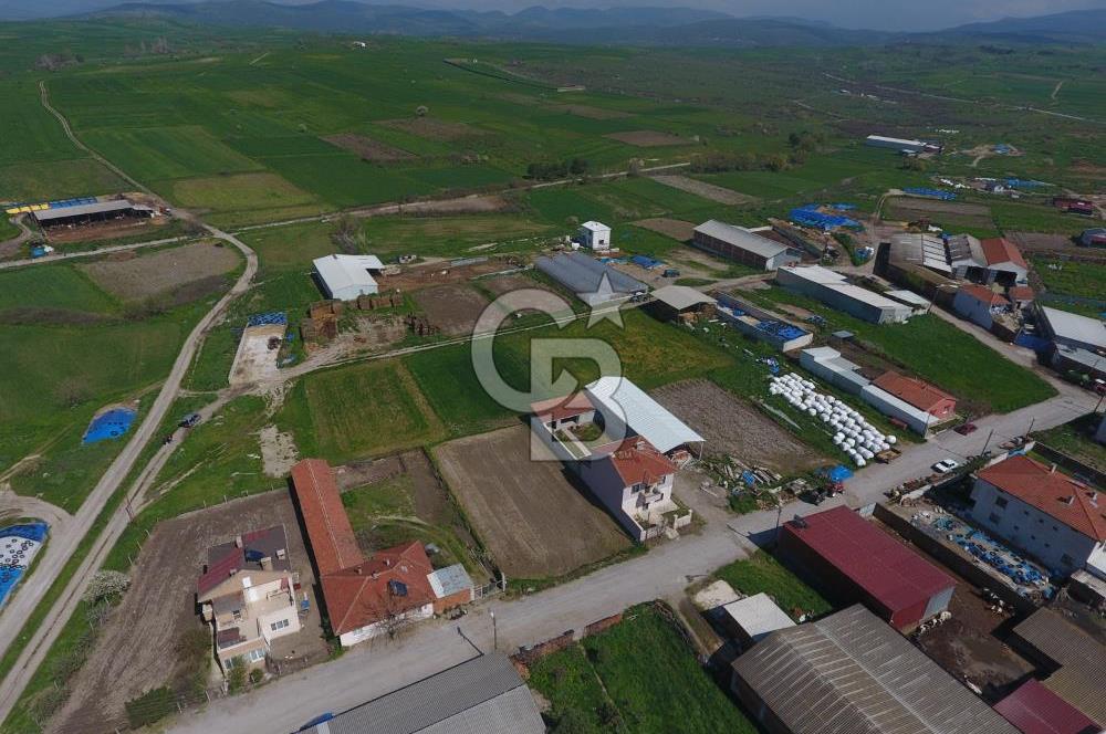 CB KİNG'DEN KEPSUT/MAHMUDİYE MAHALLESİ KONUT İMARLI SATILIK ARSA