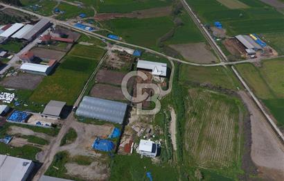 CB KİNG'DEN KEPSUT/MAHMUDİYE MAHALLESİ KONUT İMARLI SATILIK ARSA