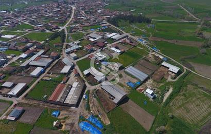 CB KİNG'DEN KEPSUT/MAHMUDİYE MAHALLESİ KONUT İMARLI SATILIK ARSA