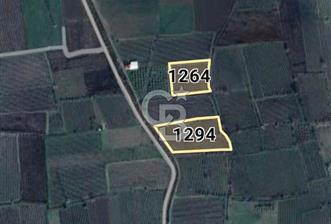 Manisa Muradiye'de Satılık 9100 m² Tarla - Yatırım Fırsatı - 4 - 347601