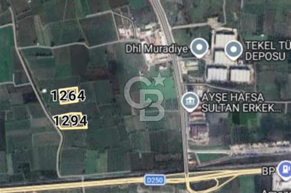 Manisa Muradiye'de Satılık 9100 m² Tarla - Yatırım Fırsatı