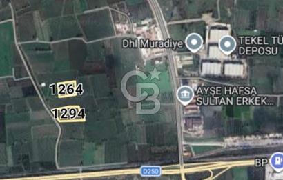 Manisa Muradiye'de Satılık 9100 m² Tarla - Yatırım Fırsatı