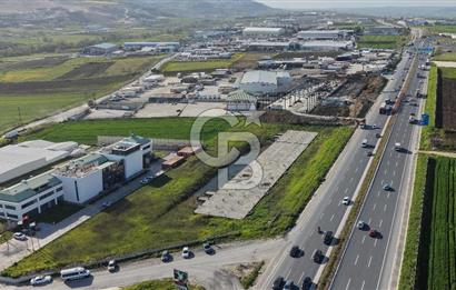 Çatalca Muratbey Satılık 10.654 M2 Ticari İmarlı Arsa