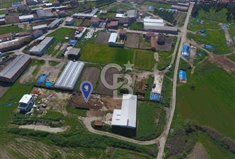 CB KİNG'DEN KEPSUT/MAHMUDİYE MAHALLESİ KONUT İMARLI SATILIK ARSA - 7 - 347580