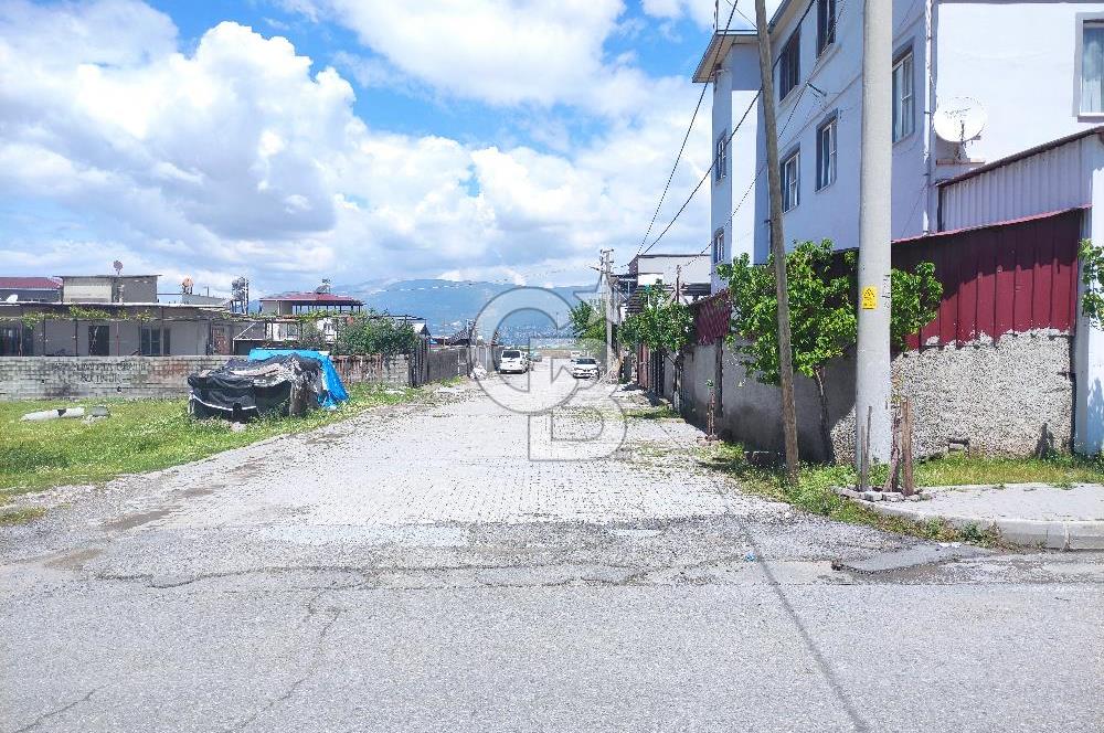 COLDWELLDEN Karaziyaretin Kalbinde, Yatırımlık & Yaşamlık Arsa