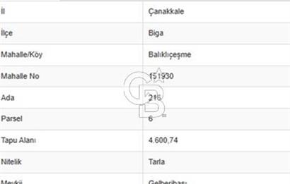 ÇANAKKALE BİGA BALIKLIÇEŞME ANA YOL CEPHELİ 4600m2 SATILIK TARLA FIRSATI