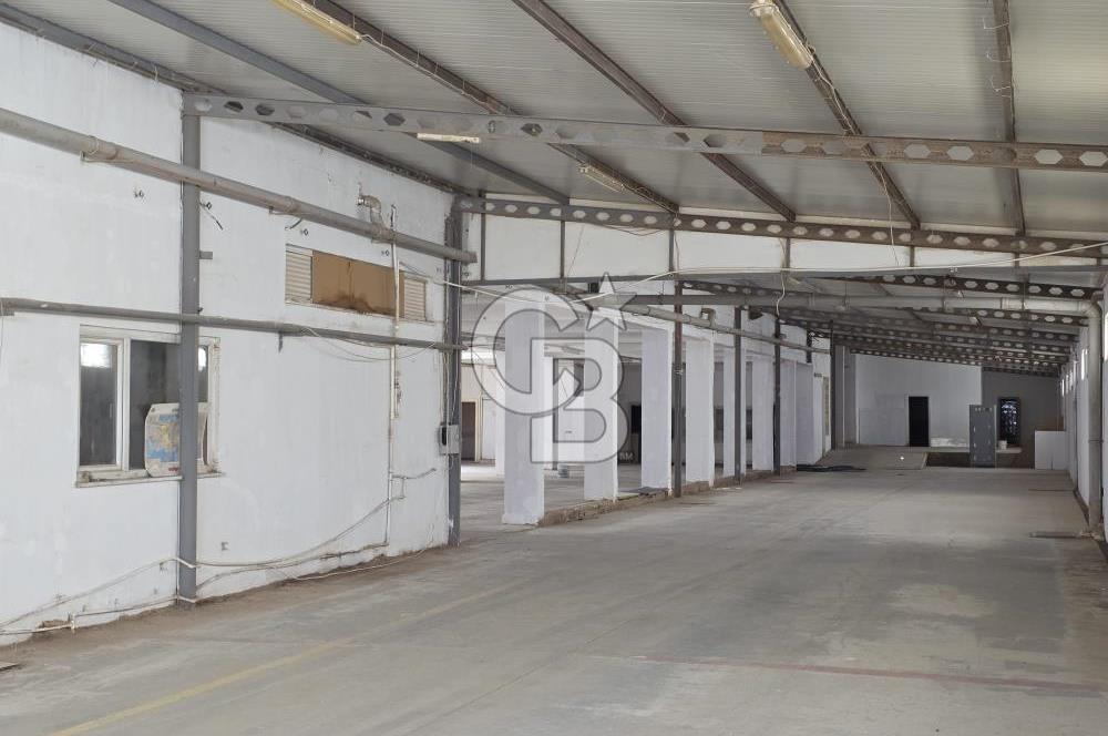 Avcılar Firuzköy Kiralık 2.800 M2 Müstakil Üretim Tesisi