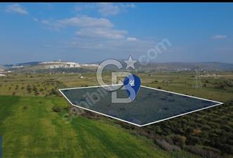 ALİAĞA GÜZELHİSAR MEVKİ SATILIK TARIMA ELVERİŞLİ SATILIK TARLA - 6 - 347651