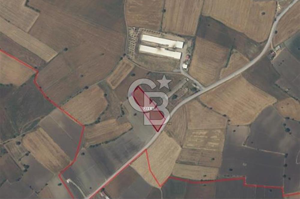 ÇANAKKALE BİGA BALIKLIÇEŞME ANA YOL CEPHELİ 4600m2 SATILIK TARLA FIRSATI