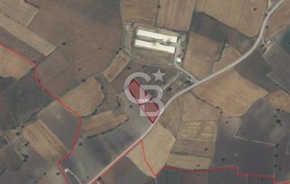 ÇANAKKALE BİGA BALIKLIÇEŞME ANA YOL CEPHELİ 4600m2 SATILIK TARLA FIRSATI