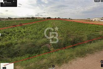 ÇANAKKALE BİGA BALIKLIÇEŞME ANA YOL CEPHELİ 4600m2 SATILIK TARLA FIRSATI - 1 - 347743