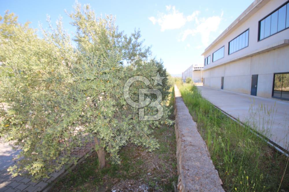 Torbalı Pancar OSB'de 4.250 M² Kapalı Alanlı, Satılık Fabrika