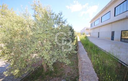 Torbalı Pancar OSB'de 4.250 M² Kapalı Alanlı, Satılık Fabrika