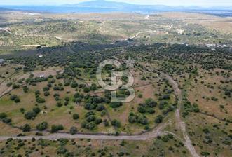 HACIÖMERLİDE 35028m2 SATILIK ARAZİ - 7 - 347649