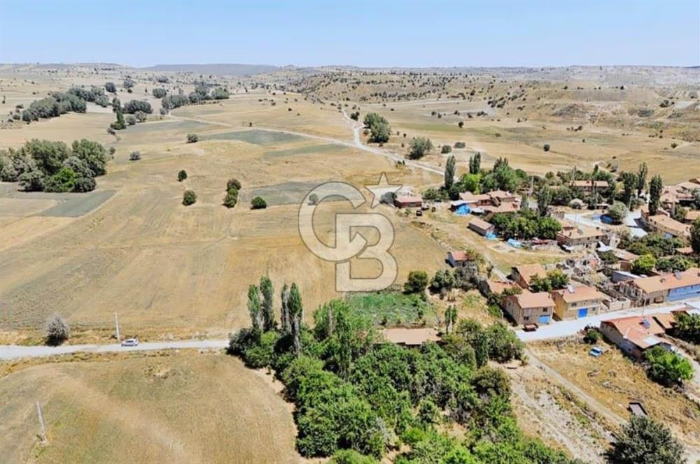 KÜKÜRT KÖYÜNDE YOLA 80 MT DÜZ ZEMİN SATILIK TARLA