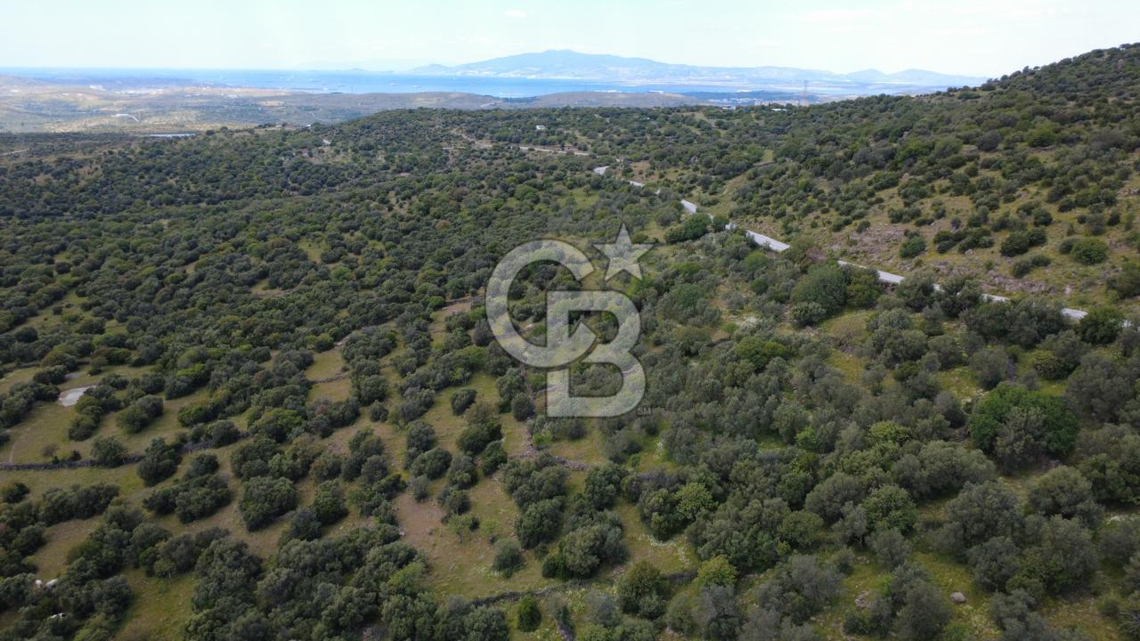 HACIÖMERLİDE SATILIK 20.000m2 YOLA CEPHE SATILIK ARAZİ