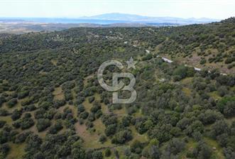 HACIÖMERLİDE SATILIK 20.000m2 YOLA CEPHE SATILIK ARAZİ - 10 - 347644