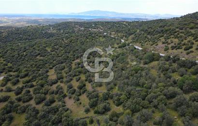 HACIÖMERLİDE SATILIK 20.000m2 YOLA CEPHE SATILIK ARAZİ