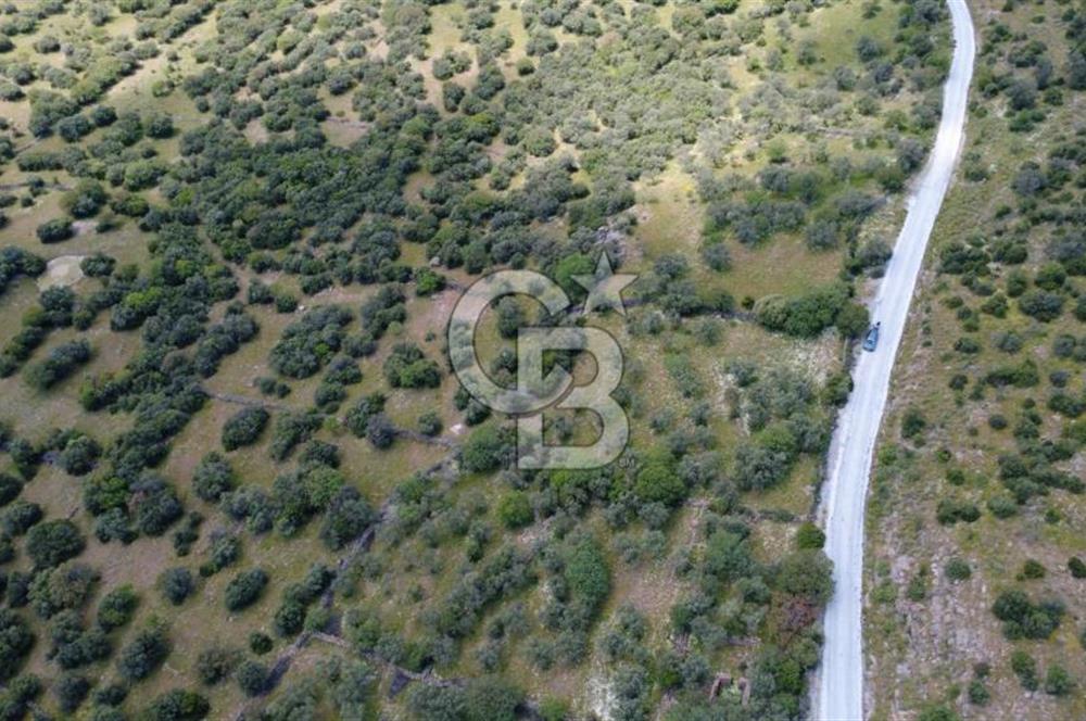 HACIÖMERLİDE SATILIK 20.000m2 YOLA CEPHE SATILIK ARAZİ