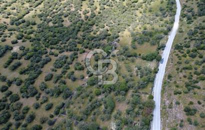 HACIÖMERLİDE SATILIK 20.000m2 YOLA CEPHE SATILIK ARAZİ