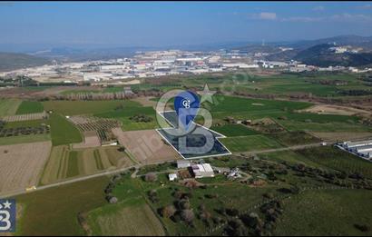 ALİAĞA ORGANİZE SANAYİ BÖLGESİNE YAKIN YATIRIMLIK TARLA