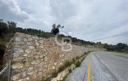 AYDIN SULTANHİSAR yola CEPHELİ SATILIK ZEYTİNLİK