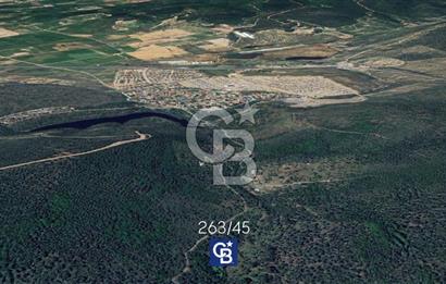 MUSELAND-Urla Bademler'de 4766 M2 Satılık Zeytinlik