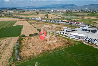 Milas Akyol Satılık Tarla - 10 - 347766
