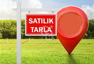 SİNCAN TEMELLİ'DE SATILIK TARLA HİSSELERİ - 9 - 347788