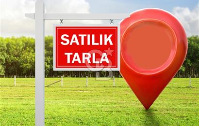 SİNCAN TEMELLİ'DE SATILIK TARLA HİSSELERİ