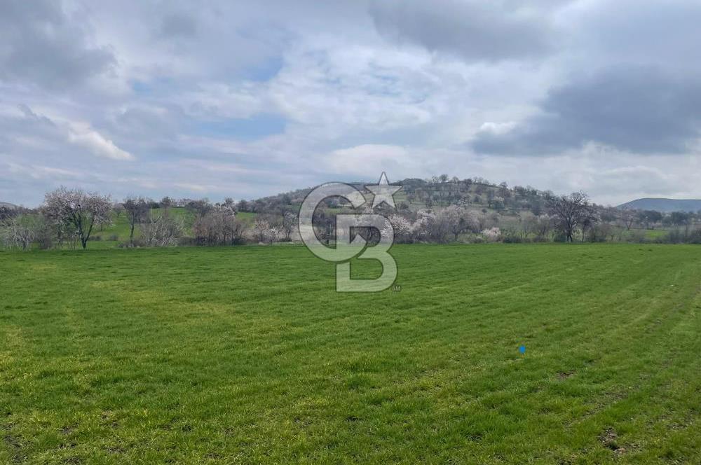 Manisa Kula Ana Yoluna Yakın Yola Cepheli Fırsat Satılık Bağ