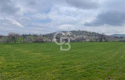 Manisa Kula Ana Yoluna Yakın Yola Cepheli Fırsat Satılık Bağ